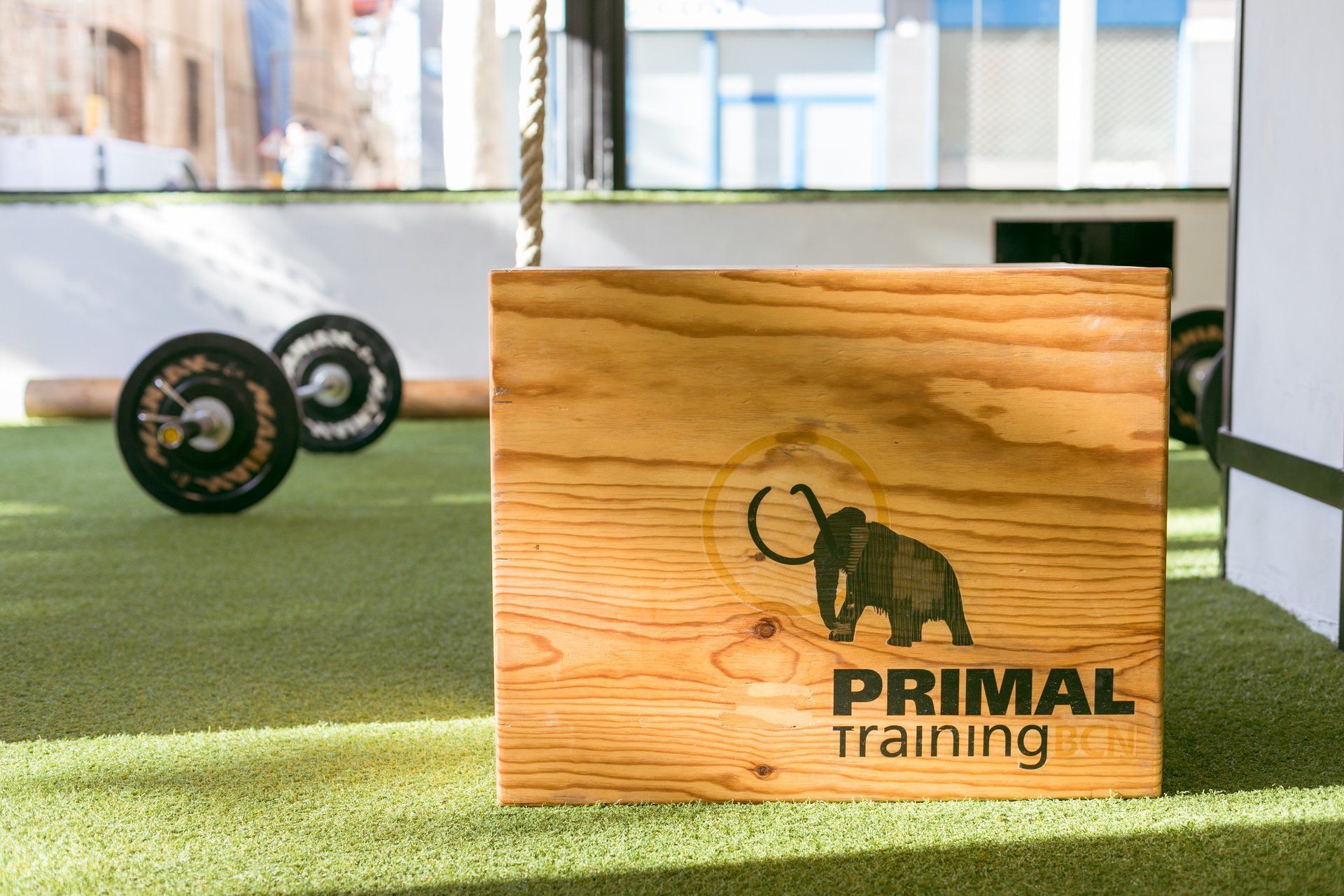 Entreno en grupo en la sala Primal